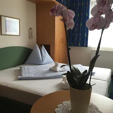 ホテル Hotel-skischule Krallinger